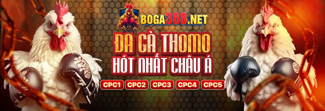 Đá gà trực tuyến kịch tính tại tabet code
